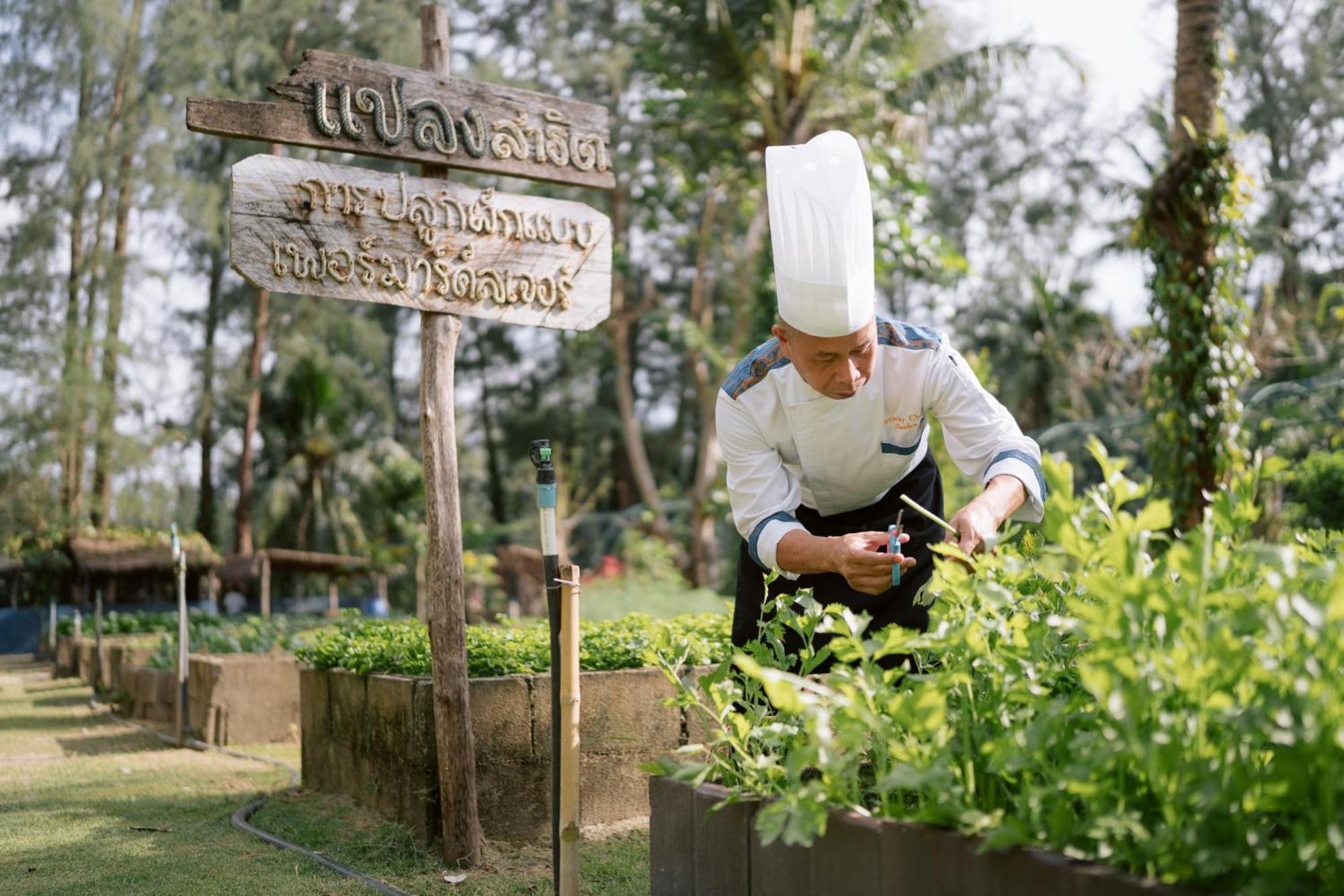 Apsara Beachfront Resort & Villa - Sha Extra Plus Khao Lak Ngoại thất bức ảnh